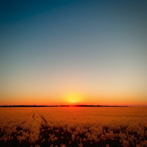 转载欧洲裸体男模特

